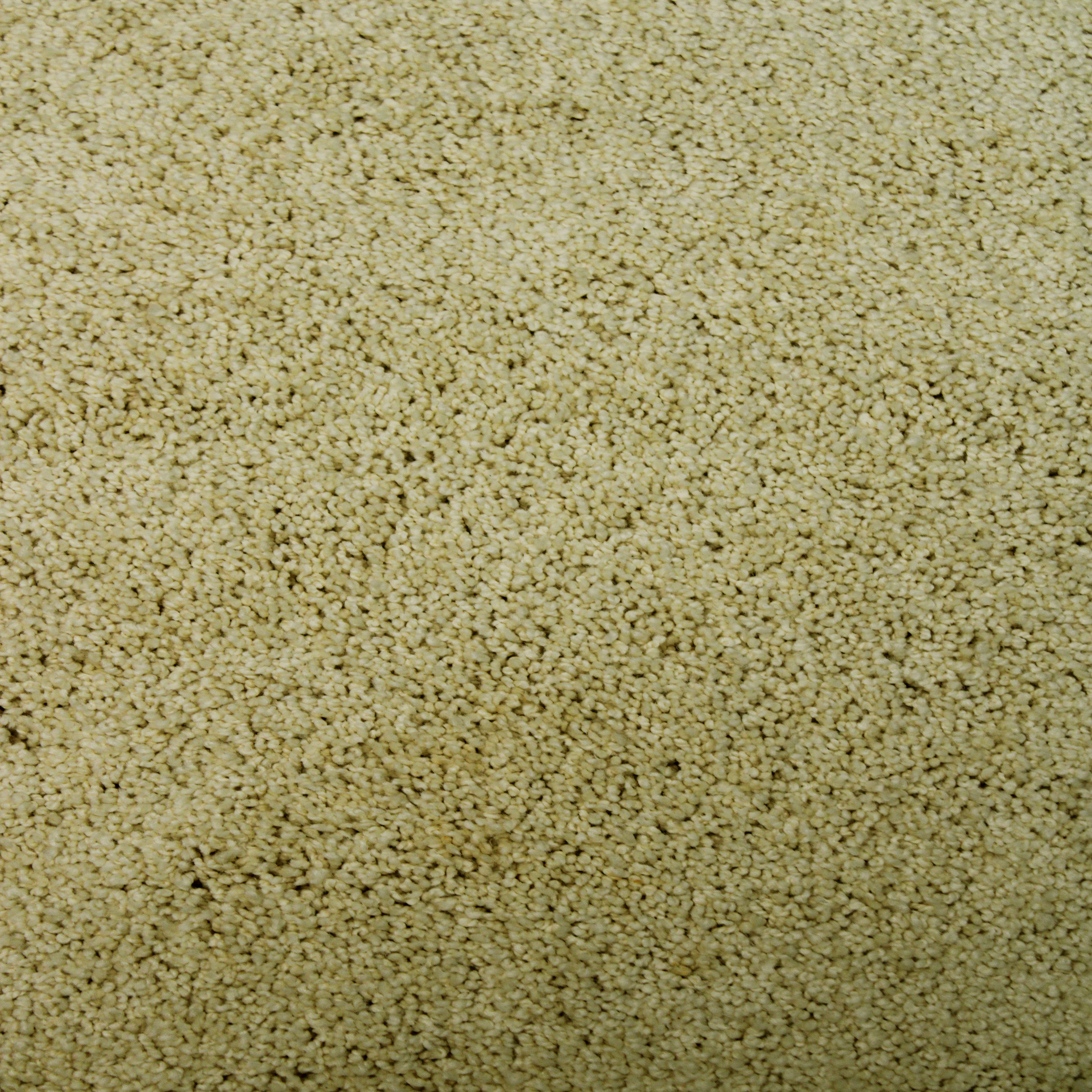 Lilac Shag Rug 